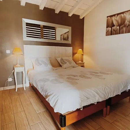 Domaine De Saint Florent - Piscine & Holiday home *
