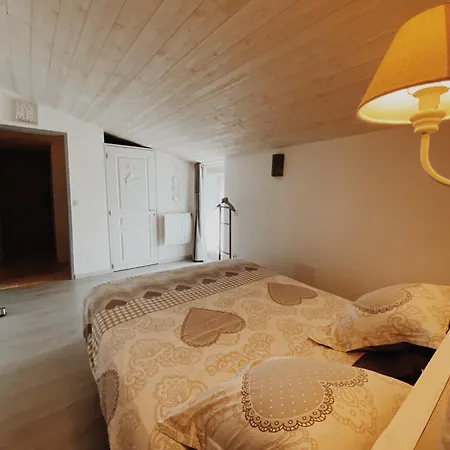 Domaine De Saint Florent - Piscine & Holiday home